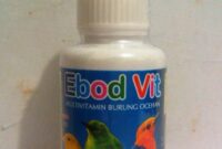 Ebod-VIT