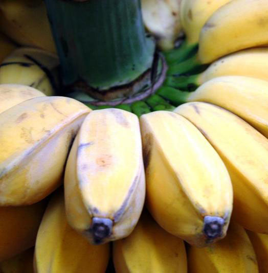 pisang-kepok