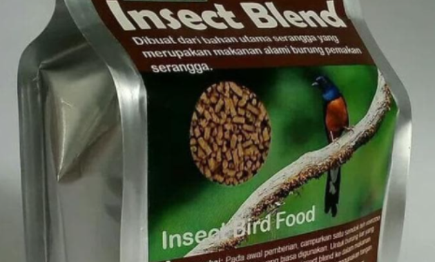 voer-burung-protein-tinggi